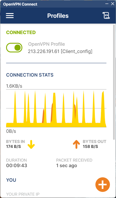 OpenVPN-Client-connected.png