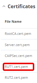 IPSec RUT1 Cert Manager Check.png