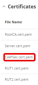IPSec CA Cert Generating Confirmation2.png