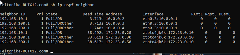 OSPF via VPLS and ZerotierVPN Test OSPF neighbor.png