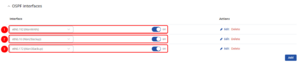 OSPF INTERFACES 1.png