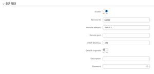 DMVPN HUB Phase3 example8.png