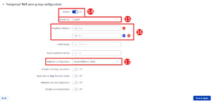 Rutx dmvpn bgp peergroup hub.png