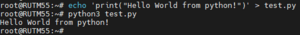 RutOS python testing example.png