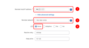 OpenVPN tun client network.png