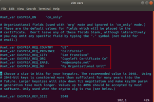 Vars config before v1.png
