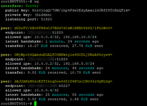 WireGuard Test interface Server.png