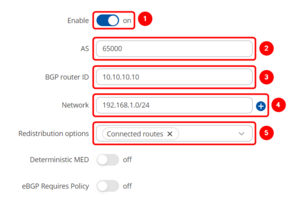 IBGP instance v2.png