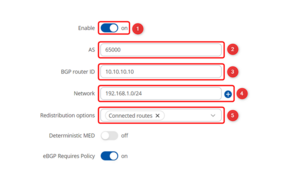 BGP routing instance.png