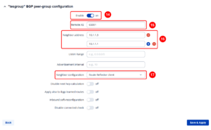 Dmvpn bgp peergroup spoke v2.png