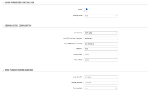 DMVPN phase3 example1.png